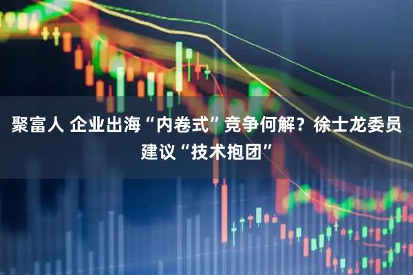聚富人 企业出海“内卷式”竞争何解？徐士龙委员建议“技术抱团”