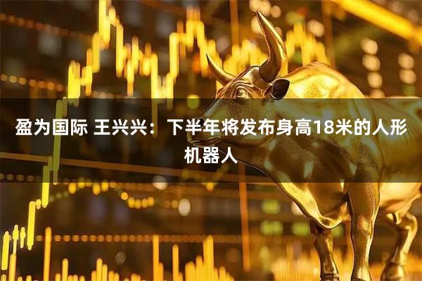 盈为国际 王兴兴：下半年将发布身高18米的人形机器人